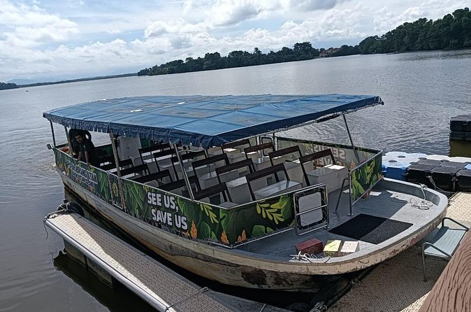 Orangutan Island, A Responsible Wildlife Sanctuary Experience - Who should choose this experience?