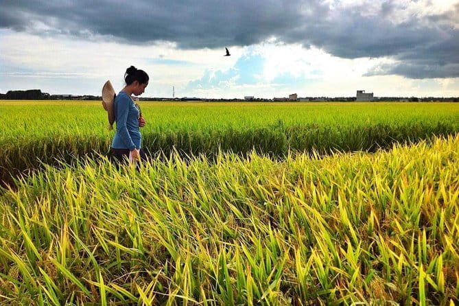Paddy Field, Fishing And Fireflies Tour - Key points at a glance