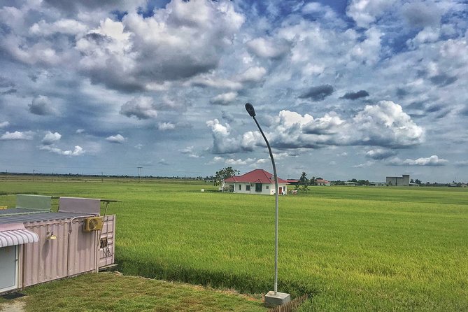 Paddy Field, Fishing Village Sekinchan DAY Tour Lunch (SIC-Shared/Join In Tour) - Watching the rice fields change with the calendar