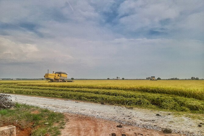 Paddy Field, Fishing Village Sekinchan DAY Tour Lunch (SIC-Shared/Join In Tour) - What you learn at the rice mill