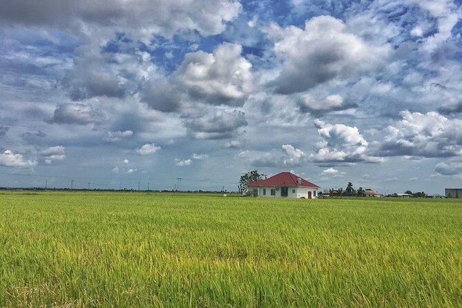Paddy Field, Fishing Village Sekinchan DAY Tour Lunch (SIC-Shared/Join In Tour) - Seafood lunch in a local restaurant