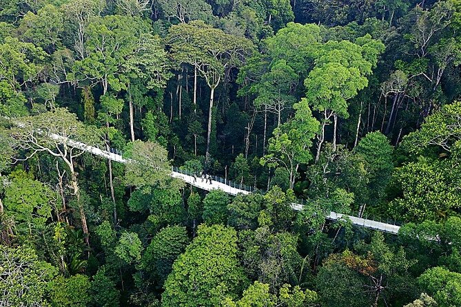 Panoramic Penang Hill & The Habitat Nature Discovery - Why this Penang Hill outing is worth considering