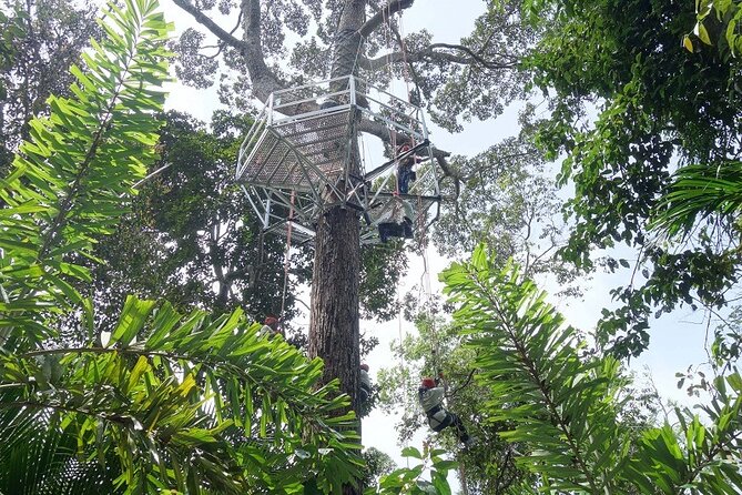 Panoramic Penang Hill & The Habitat Nature Discovery - The cool summit at 821 meters