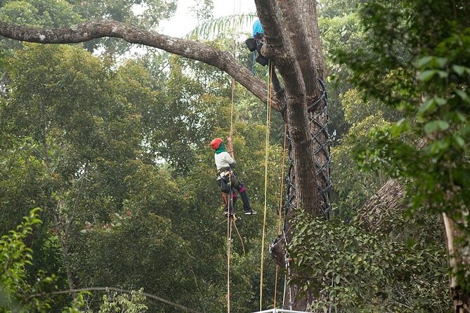 Panoramic Penang Hill & The Habitat Nature Discovery - Timing, crowds, and physical effort