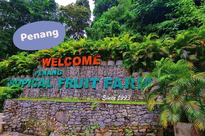 Penang Airport Transfer - Who should book this transfer?