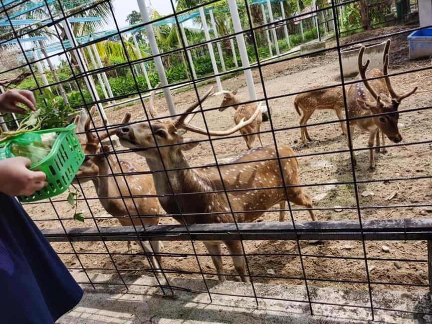 Penang: Balik Pulau Batik Painting & Mini Zoo Petting - Homemade juice and a simple local snack