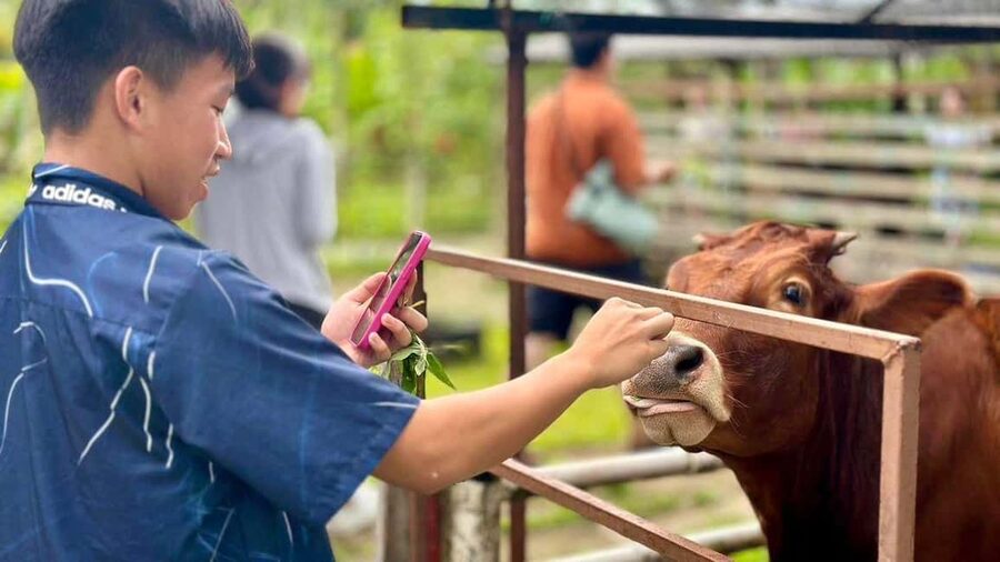 Penang: Balik Pulau Batik Painting & Mini Zoo Petting - Who will enjoy this Penang activity most
