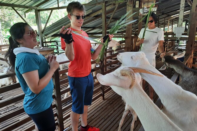 Penang Countryside Cycling Tour. PPA2 by Matahari - First sector: hamlets, a goat farm, and shared village life