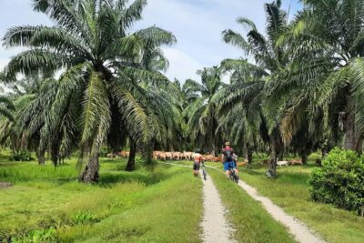 Penang Countryside Cycling Tour. PPA2 by Matahari