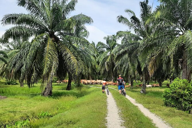 Penang Countryside Cycling Tour. PPA2 by Matahari - The welcome in Kampung Permatang Pasir