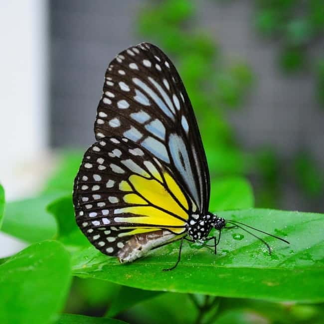 Penang: Entopia General Admission Tickets - Is $15 good value for a full day?