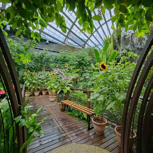 Penang: Entopia General Admission Tickets - Who will enjoy Entopia most?