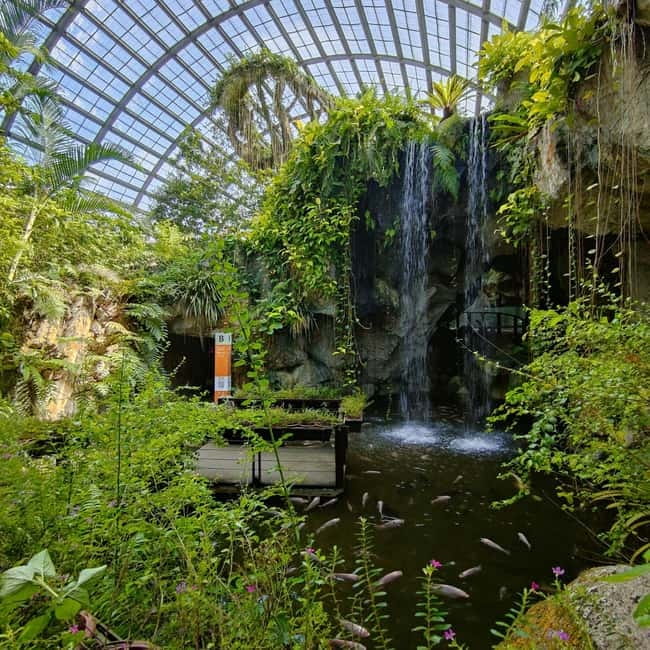 Penang: Entopia General Admission Tickets - Should you book Entopia Penang?