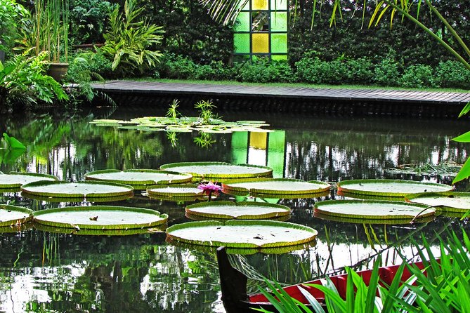 Penang Round Island Tour With Tropical Spice Garden & Entopia Butterfly Farm - What this five-hour Penang tour is really for