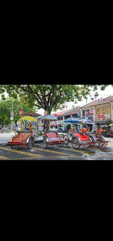 Penang: Shine Local Full Day Private tour 10-18pax(8Hours) - Family attractions and photo-friendly stops