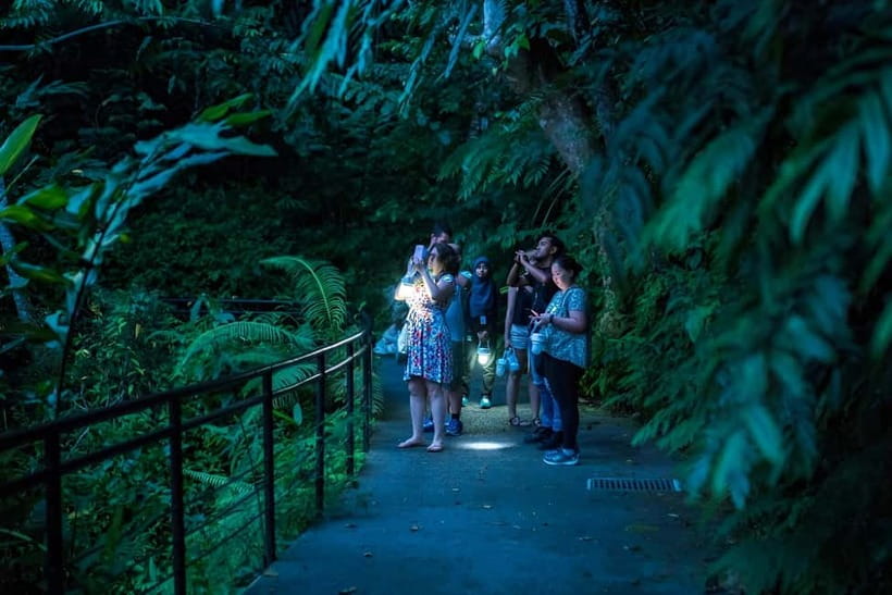 Penang: The Habitat Penang Hill Entry Ticket - Key things to know before you go