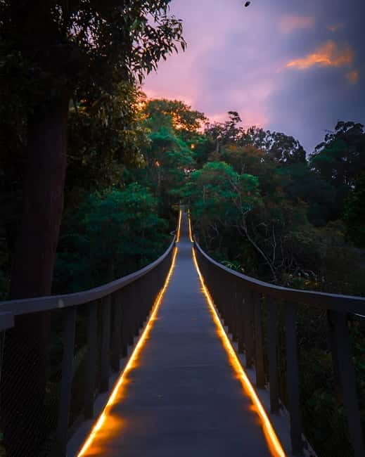 Penang: The Habitat Penang Hill Entry Ticket - Historic trails and the forest swings