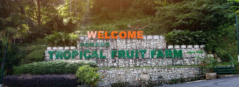 Penang: Tropical Fruit Farm Ticket - Key things to know before you go