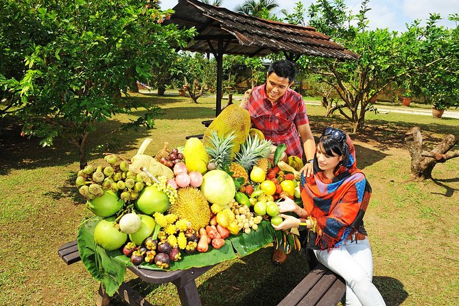 Penang Tropical Fruit Farm with Fruit Tasting - Fruit tasting with Teluk Bahang views