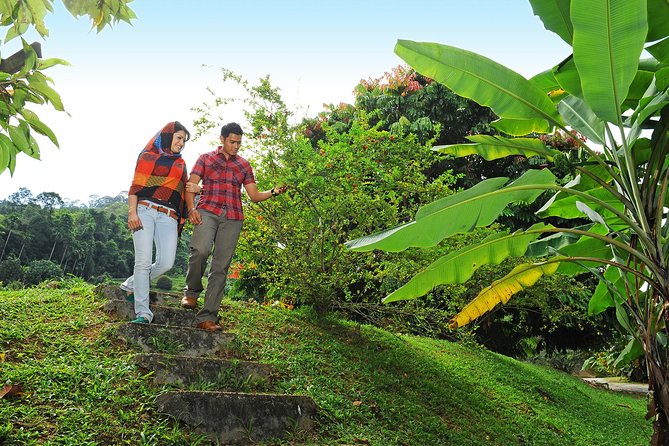 Penang Tropical Fruit Farm with Fruit Tasting - Is $61 a fair price?