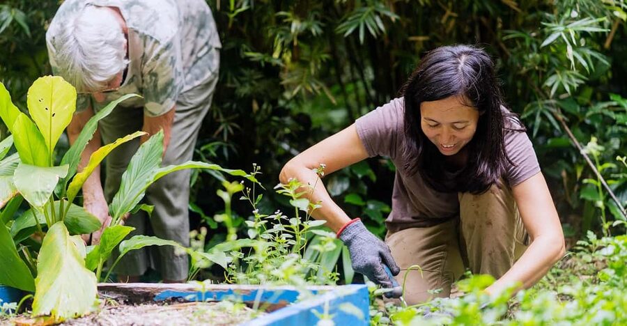 Penang: Tropical Spice Garden Entrance Ticket & Guided Tours - Key points to know before you go