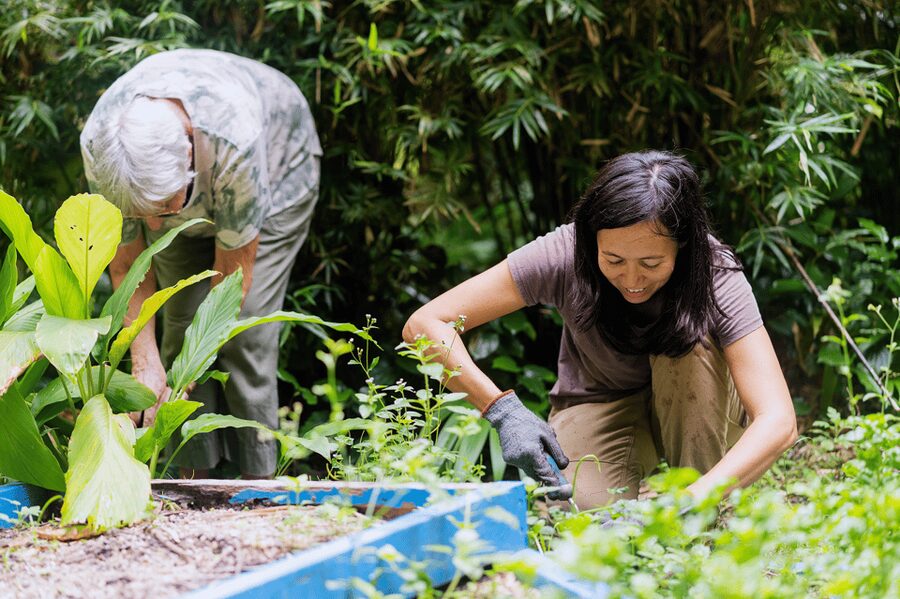 Penang: Tropical Spice Garden Entrance Ticket & Guided Tours - Why the Tropical Spice Garden is worth your time