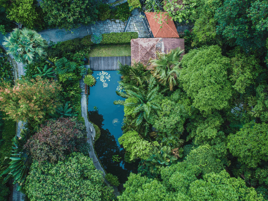 Penang: Tropical Spice Garden Entrance Ticket & Guided Tours - Learning what spices look like before they reach your plate
