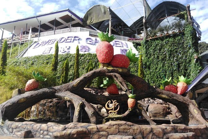 Private: Cameron Highlands 2 days 1 night Trip - MARDI, cacti, and Kea Farm on Day 1
