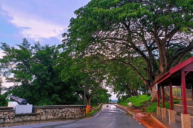 Private Fireflies Tour with Blue Tears and Seafood Dinner - Why this Kuala Selangor evening works