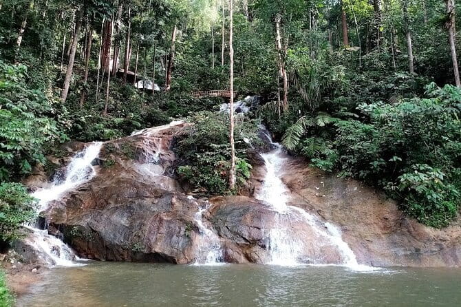 Private Fireflies Tour with Blue Tears and Seafood Dinner - Fireflies in the Kuala Selangor mangroves
