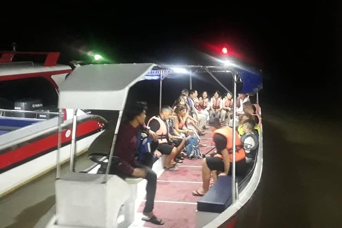Private: Firefly tour from Kuala Lumpur - Pasir Penambang, the fisherman village