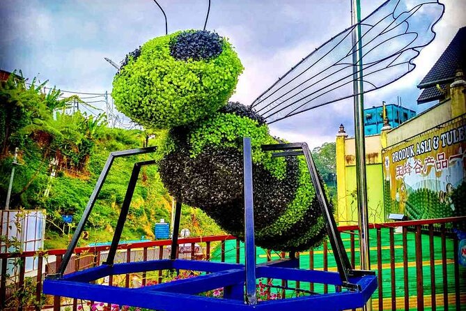 Private Full-Day Cameron Highlands Nature Tour from Kuala Lumpur - Tea country near Tanah Rata