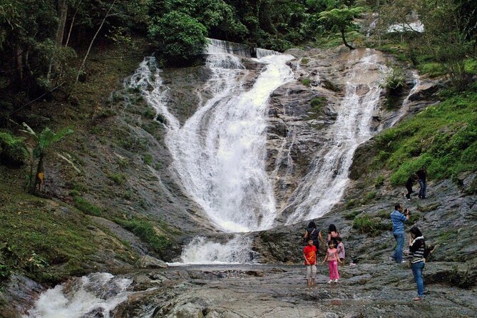 Private Full-Day Cameron Highlands Nature Tour from Kuala Lumpur - Bee farms: educational, commercial, and easy to browse