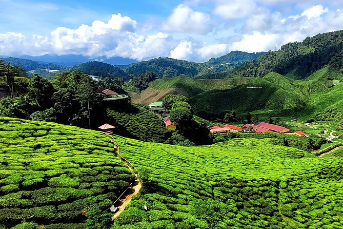 Private Full-Day Cameron Highlands Nature Tour from Kuala Lumpur - Sam Poh Temple above Brinchang
