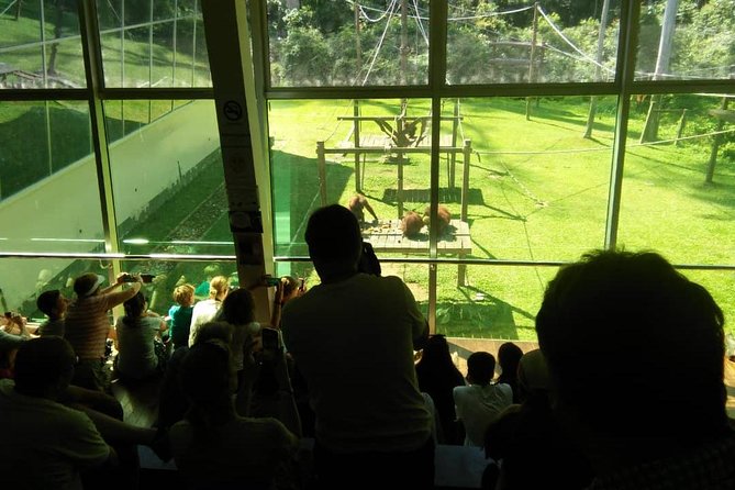 Private Full Day Sepilok Orang Utan, Bornean Sun Bear and Rainforest Discovery Center Tour - Why this private day works well in Sepilok