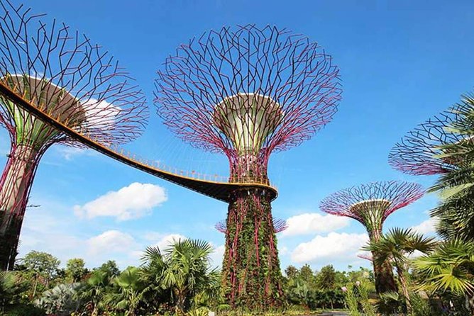 Private Full Day Singapore City Tour with Professional Tour Guide - Gardens by the Bay without rushing the whole park
