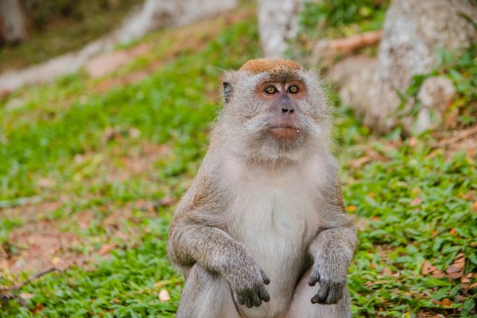 Private Kanching Waterfalls with Batu Caves & Ramayana Caves Tour - What to wear and bring
