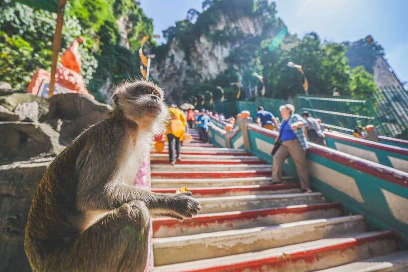 Private KL City Tour with Petronas Twin Towers & Batu Caves - Petronas Twin Towers: the view that earns its place