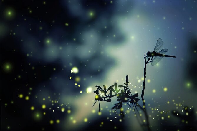 Private Kuala Lumpur Fairy Firefly And Monkey Hill Tour - Bukit Melawati: monkeys beside Selangor history