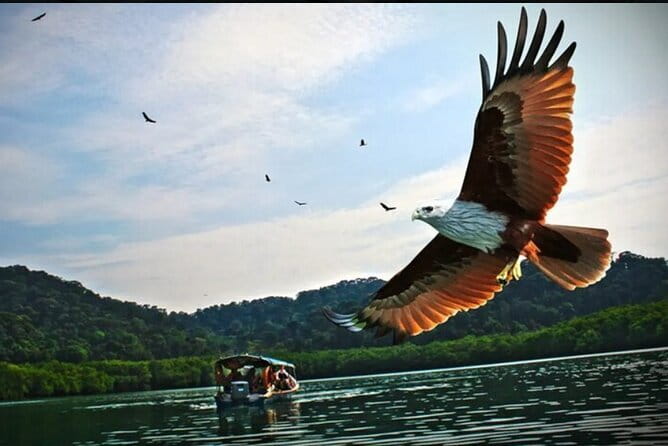 Private Langkawi Departure Transfer to Airport - The biggest concern: pickup accuracy