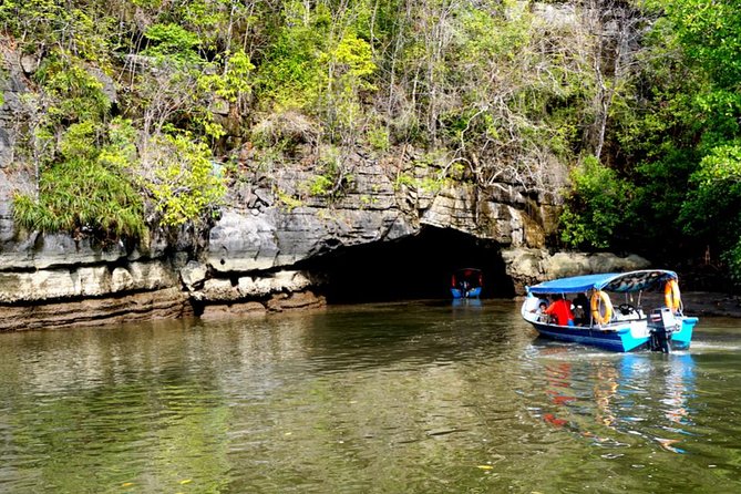 Private Mangrove Tour 2 Hour (max 8 People) - Fish Farm Visit: A Change Of Pace