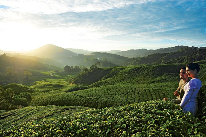 Private Nature Trip to Cameron Highlands from Kuala Lumpur - Leaving Kuala Lumpur at 7 a.m.