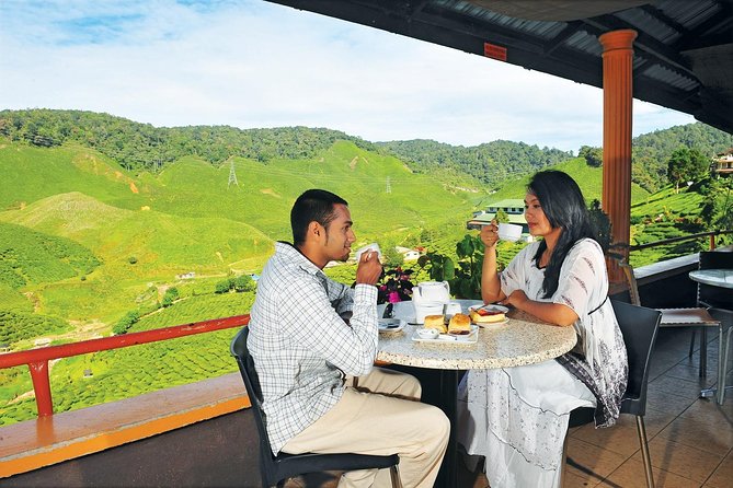 Private Nature Trip to Cameron Highlands from Kuala Lumpur - Cactus Valley: a close look at highland plants