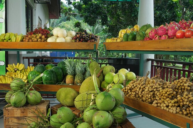 Private Selangor Day Tour : Batu Caves, Blue Mosque, Fruit Valley, Malawati Hill - Batu Caves, the day’s strongest highlight