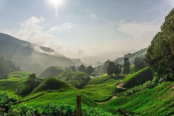 Private Tour : Cameron Highland Day Trip from Kuala Lumpur - Key things to know before booking