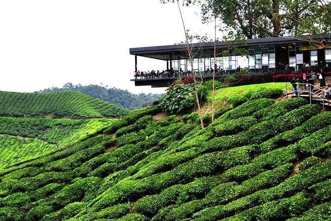 Private Tour : Cameron Highland Day Trip from Kuala Lumpur - Sam Poh Temple above Brinchang
