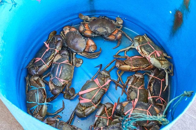 Private Tour: Crab Island Sightseeing Boat Ride and Seafood Lunch - Walking the car-free fishing village