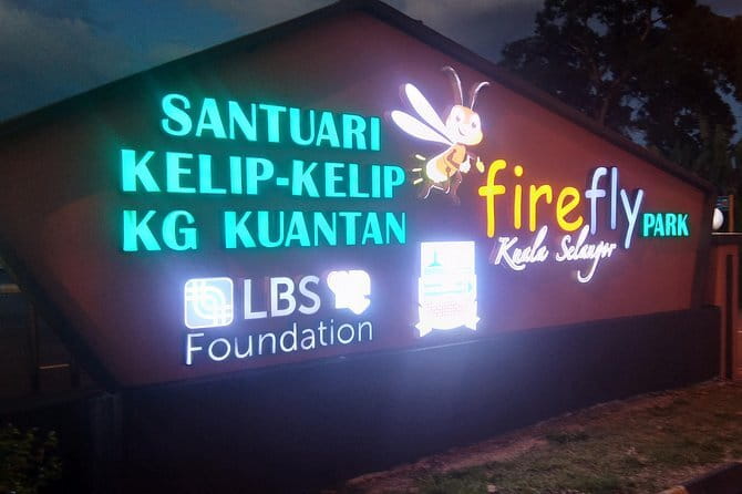 Private Tour Fireflies, Eagles and Monkey - Leaving Kuala Lumpur for Kuala Selangor