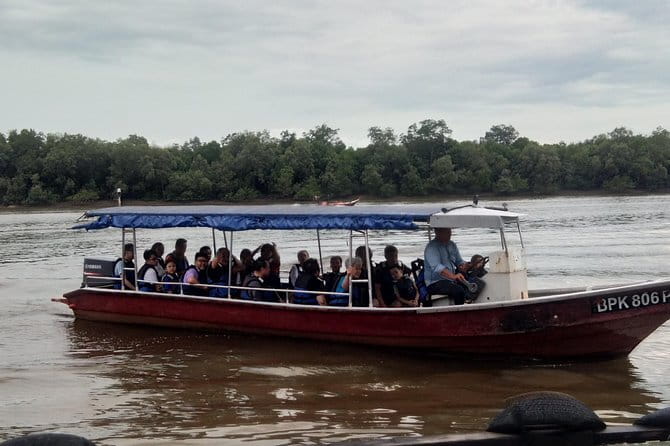 Private Tour Fireflies, Eagles and Monkey - Bukit Melawati and the silvered-leaf monkeys