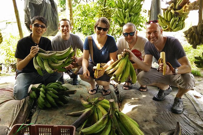Private Tour: Ipoh Secrets Taiping Heritage & Orang Utan Island - Why this private route works for a busy day